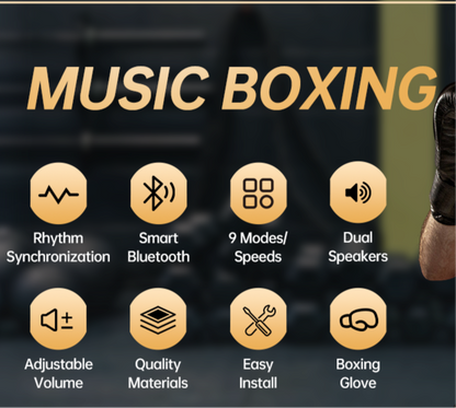 ViberFit Pro V2 Music Boxing Machine - Free Boxing Gloves included